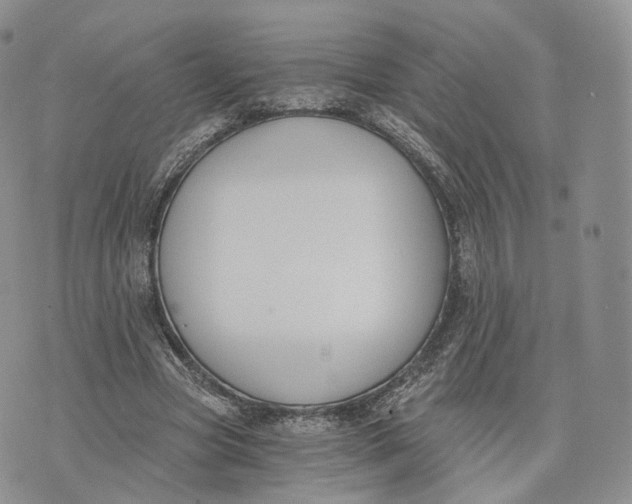 X0000072950537200608111628