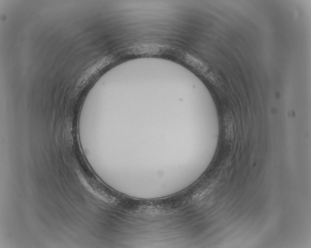 X0000072950538200608111628