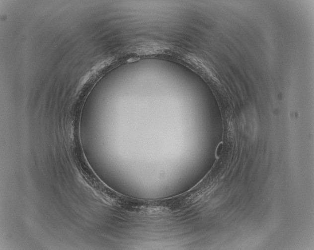 X0000072950539200608111628