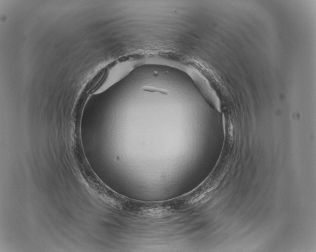 X0000072950540200608111628