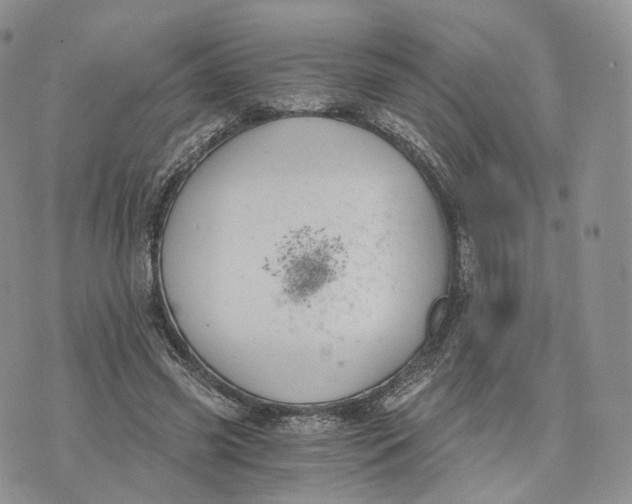 X0000072950541200608111628