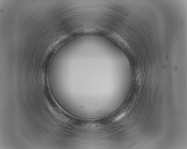 X0000072950542200608111628