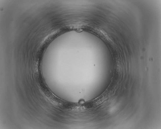 X0000072950543200608111628