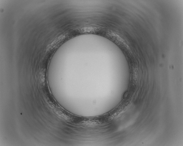 X0000072950545200608111628