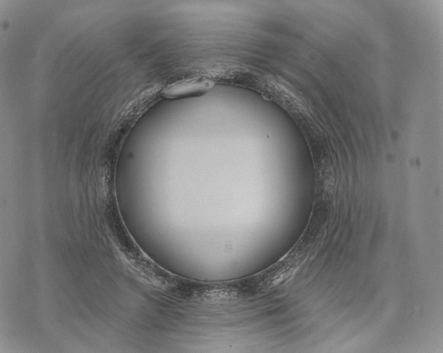 X0000072950546200608111628