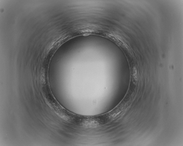 X0000072950547200608111628