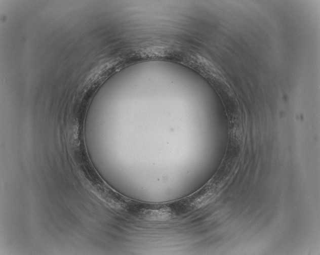 X0000072950548200608111628