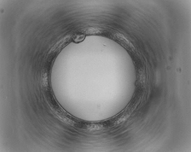 X0000072950549200608111628