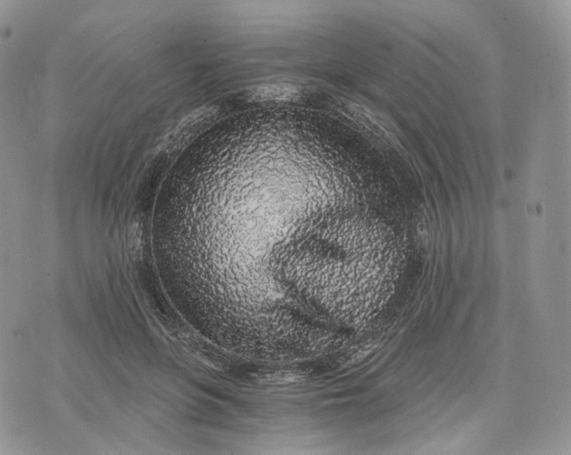 X0000072950551200608111628