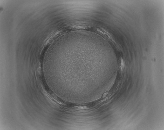 X0000072950552200608111628