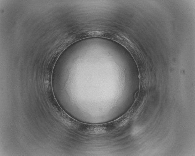 X0000072950553200608111628