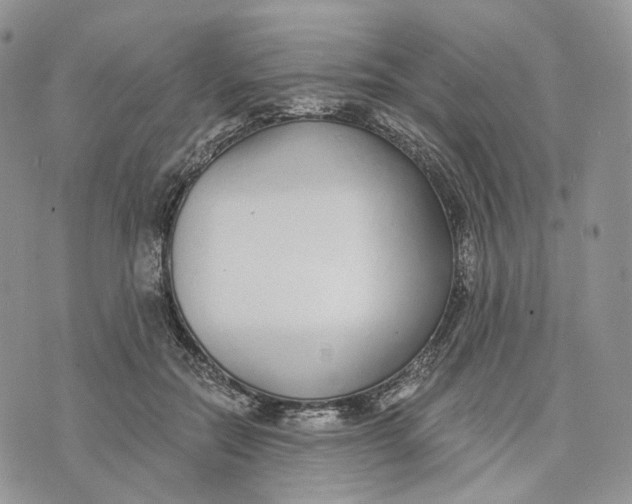 X0000072950554200608111628