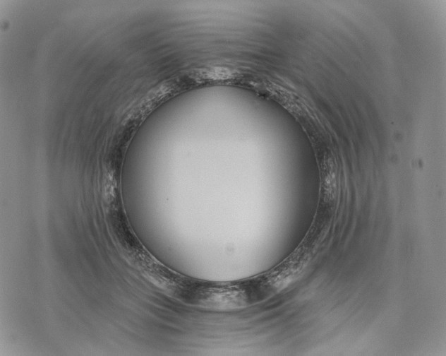 X0000072950555200608111628