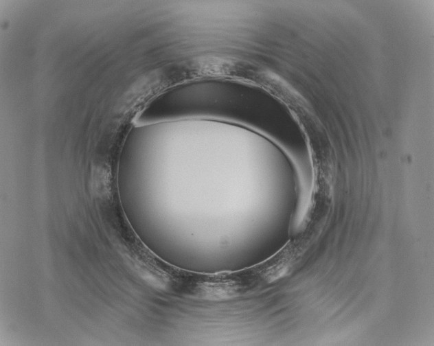 X0000072950556200608111628