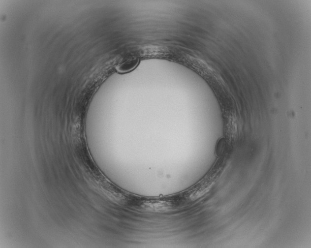 X0000072950557200608111628