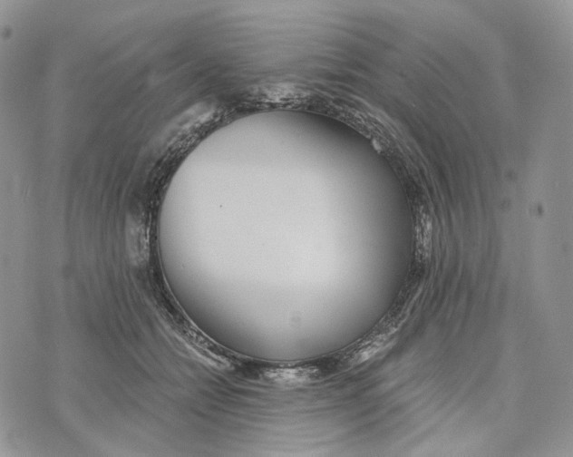 X0000072950558200608111628