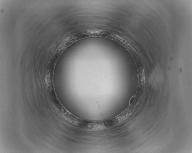 X0000072950559200608111628