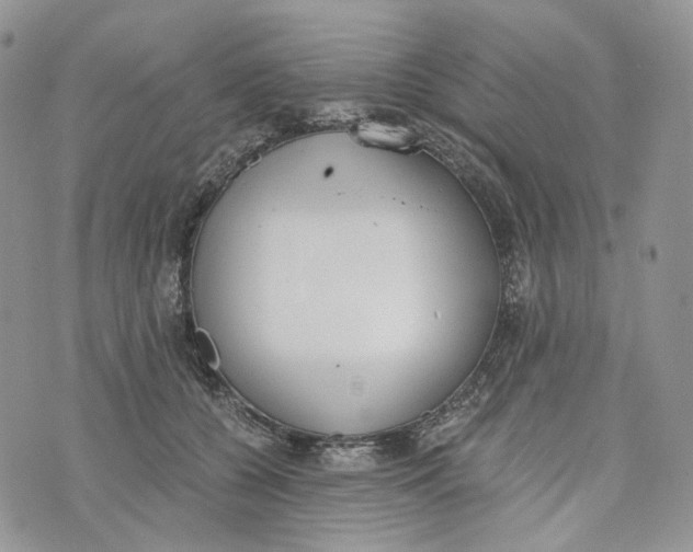 X0000072950560200608111628