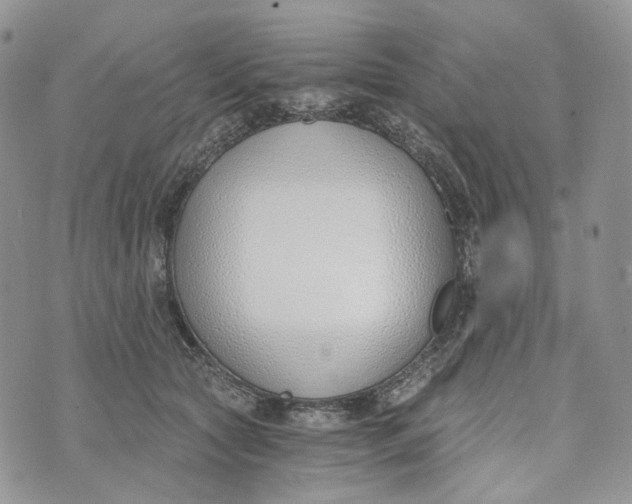 X0000072950561200608111628