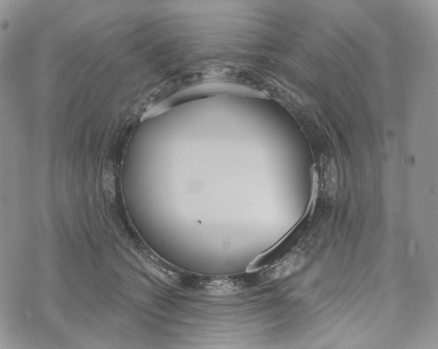 X0000072950562200608111628