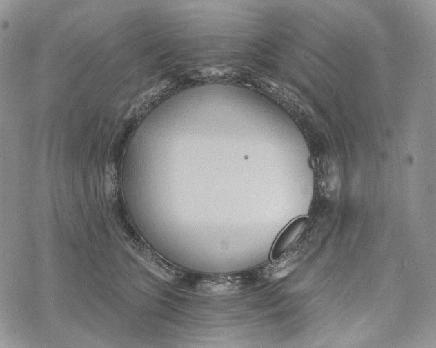 X0000072950563200608111628