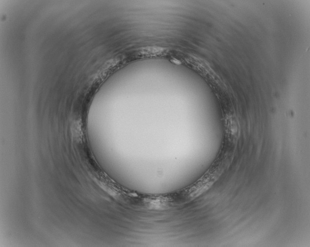 X0000072950564200608111628