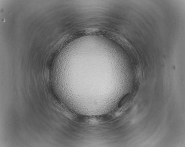 X0000072950565200608111628