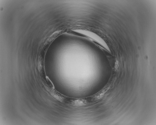 X0000072950566200608111628