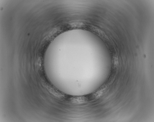 X0000072950567200608111628