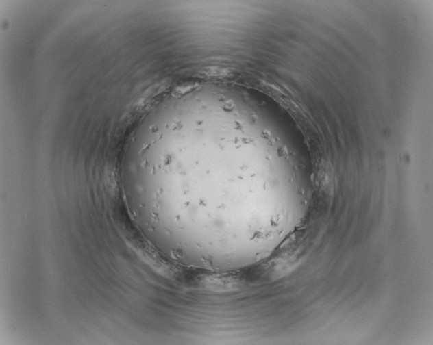 X0000072950568200608111628