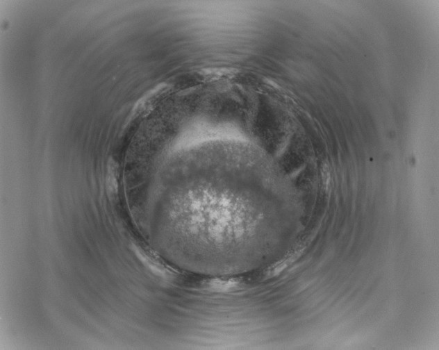 X0000072950570200608111629