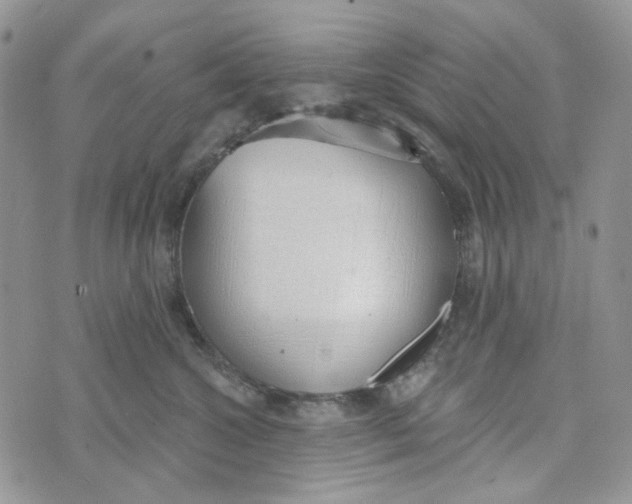 X0000072950572200608111629