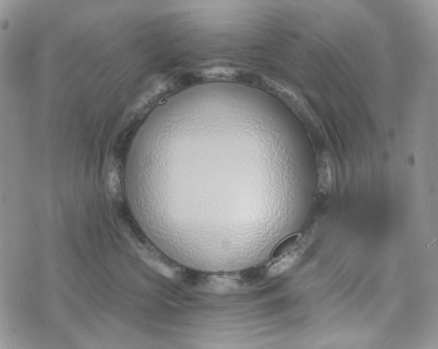 X0000072950573200608111629