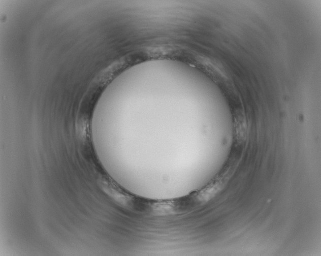 X0000072950574200608111629