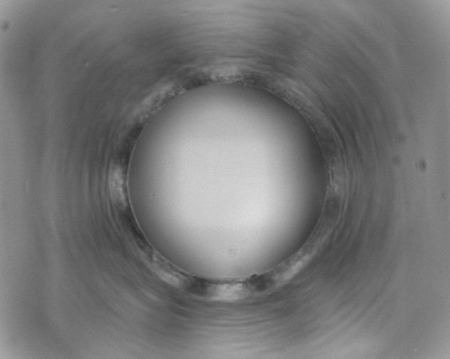 X0000072950575200608111629