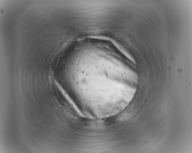 X0000072950576200608111629