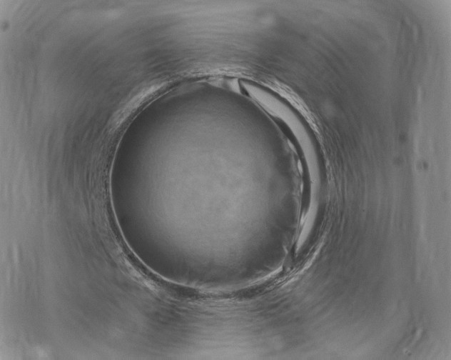 X0000072950577200608111628