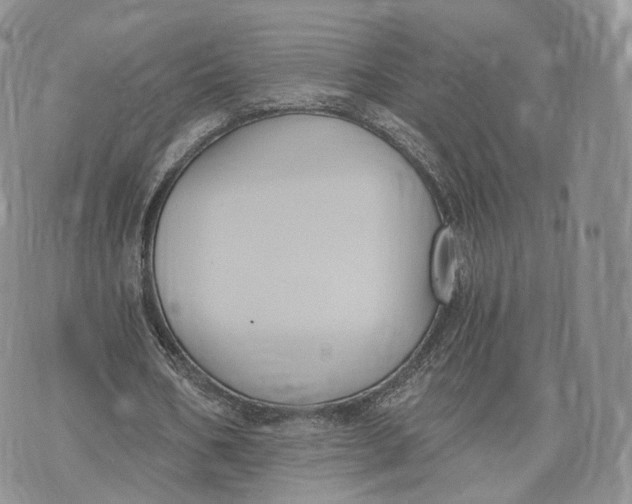 X0000072950578200608111628