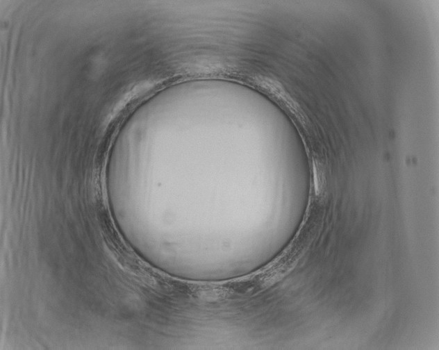 X0000072950579200608111628