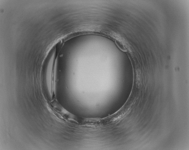 X0000072950580200608111628