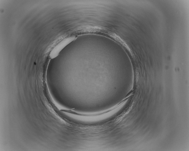 X0000072950581200608111628