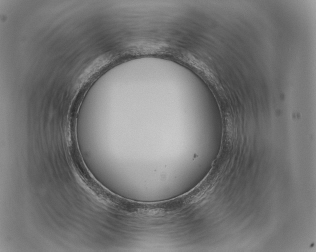 X0000072950582200608111628