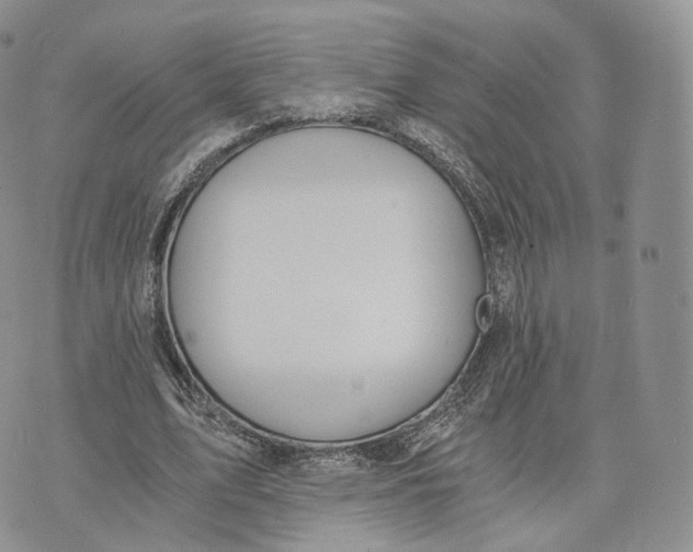 X0000072950583200608111628