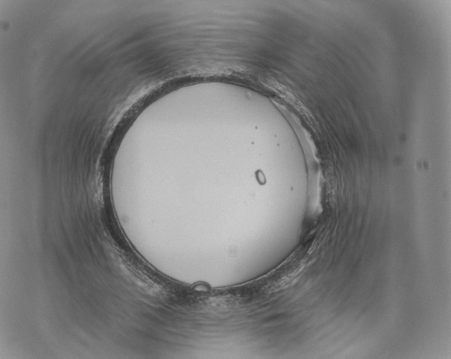 X0000072950584200608111628