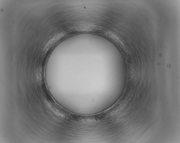 X0000072950586200608111628