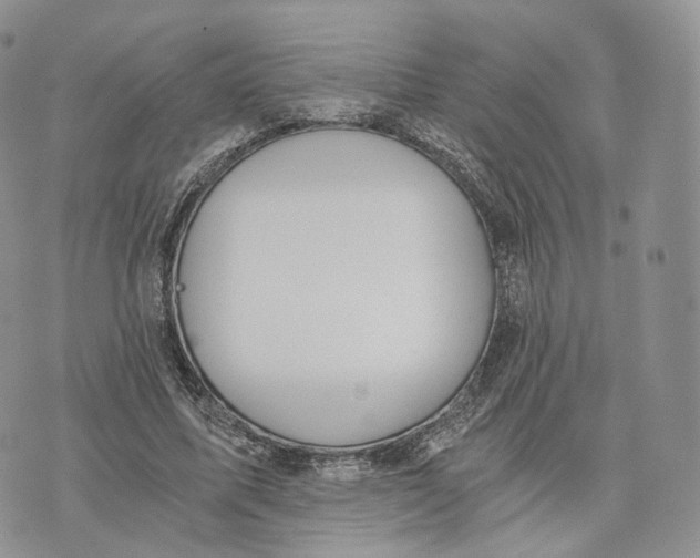 X0000072950587200608111628