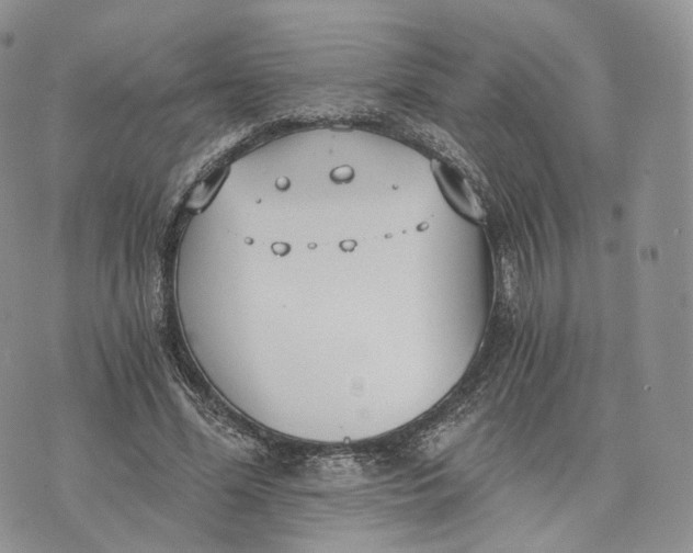 X0000072950588200608111628