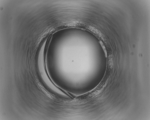 X0000072950589200608111628