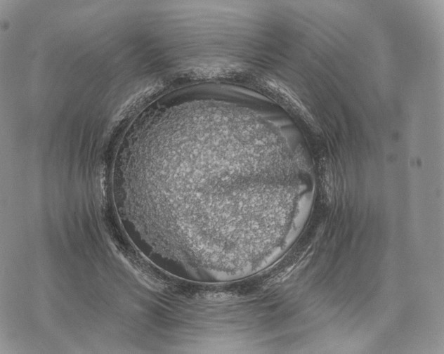 X0000072950590200608111628