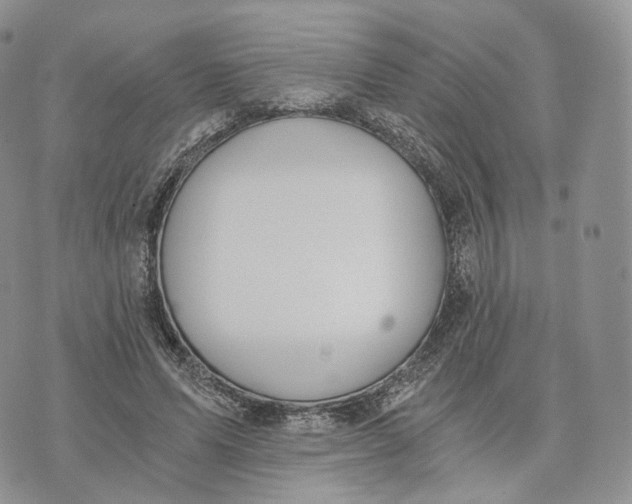 X0000072950591200608111628